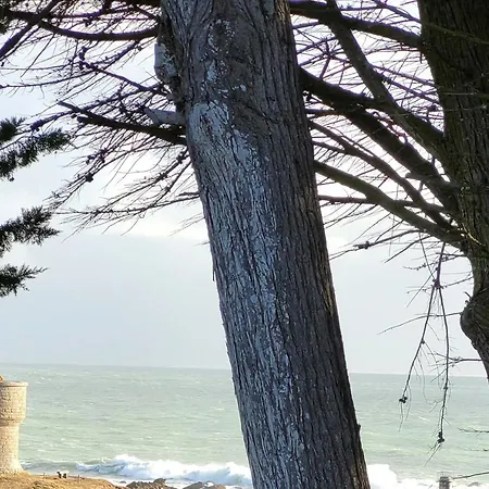 Les Deux Bretagne's - Les De La Cote D'amour * Le Croisic